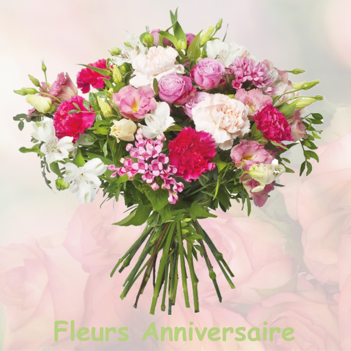 fleurs anniversaire CLERMONT-POUYGUILLES